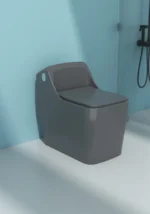 2050 COLOR STANDARD DESIGN CERAMIC HIGH COMMODE - Image 2