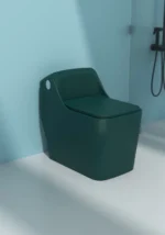 2050 COLOR STANDARD DESIGN CERAMIC HIGH COMMODE - Image 4