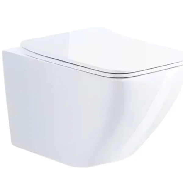 3037 PREMIUM WALL HUNG COMMODE MODEL