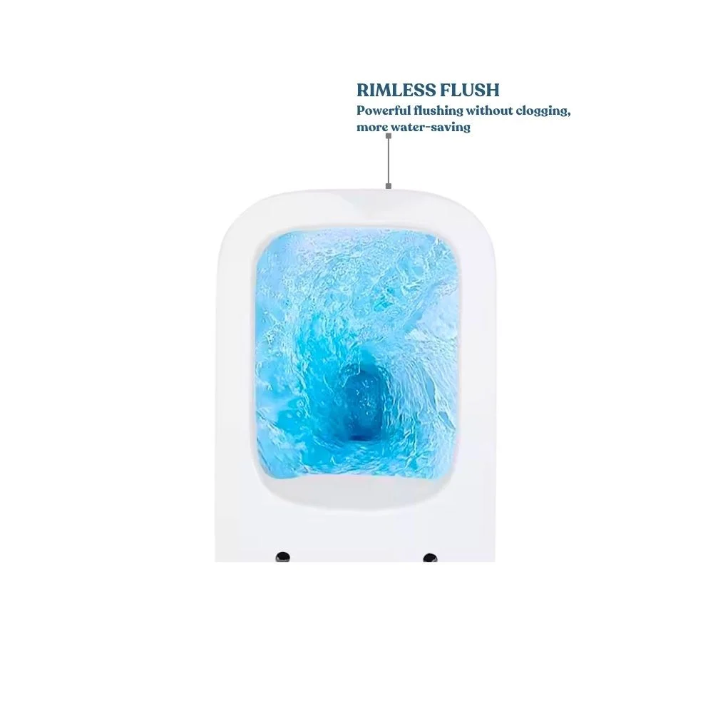 GD-DIAMOND HIGH QUALITY WALL HANGING COMMODE - Image 4