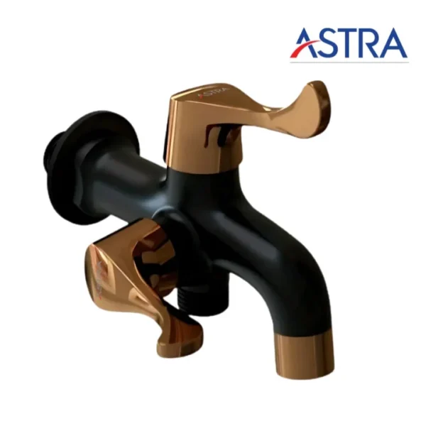 Astra RGB-4110 Classic Two in Bib Cock Double Handle Faucet Brass Black Gold