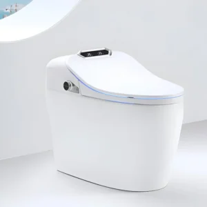 ONE PIECE SMART COMMODE GD-Q9