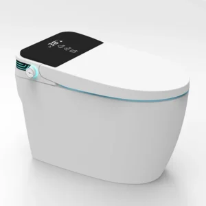 ONE PIECE SMART COMMODE GD-W4