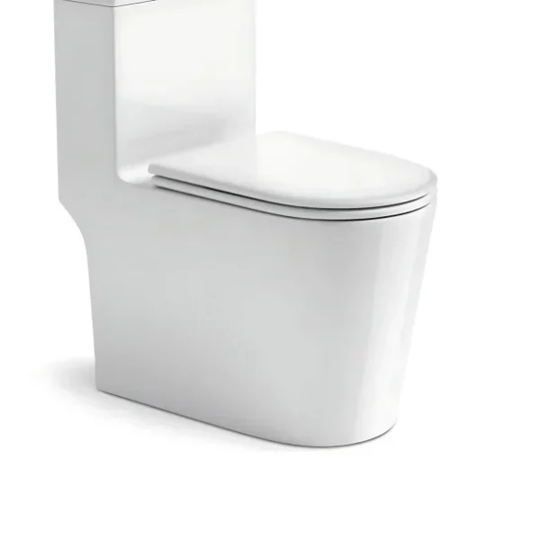 ROLAND MODERN DESIGN CERAMIC HIGH COMMODE