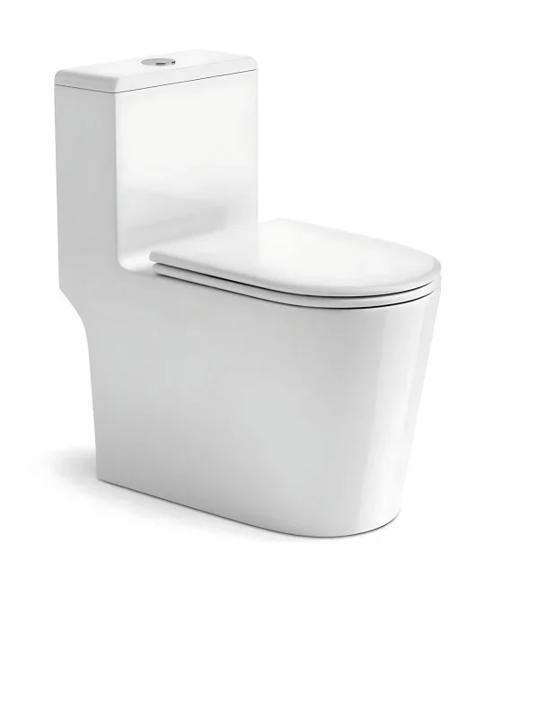 ROLAND MODERN DESIGN CERAMIC HIGH COMMODE