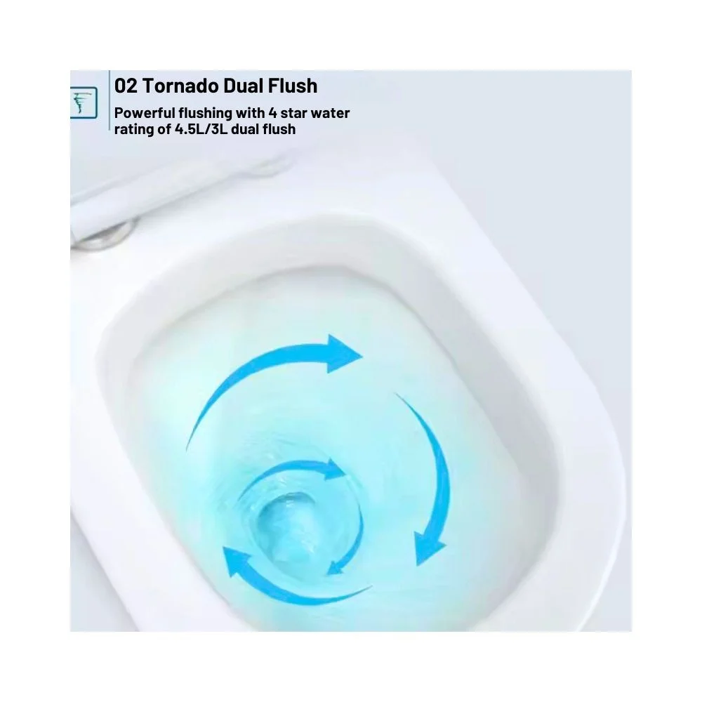 ROLAND MODERN DESIGN CERAMIC HIGH COMMODE - Image 7