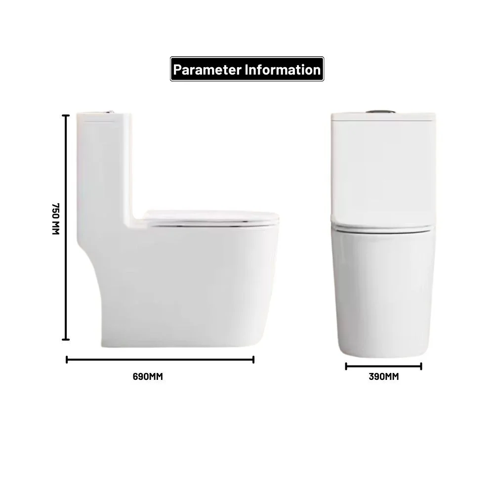 ROLAND MODERN DESIGN CERAMIC HIGH COMMODE